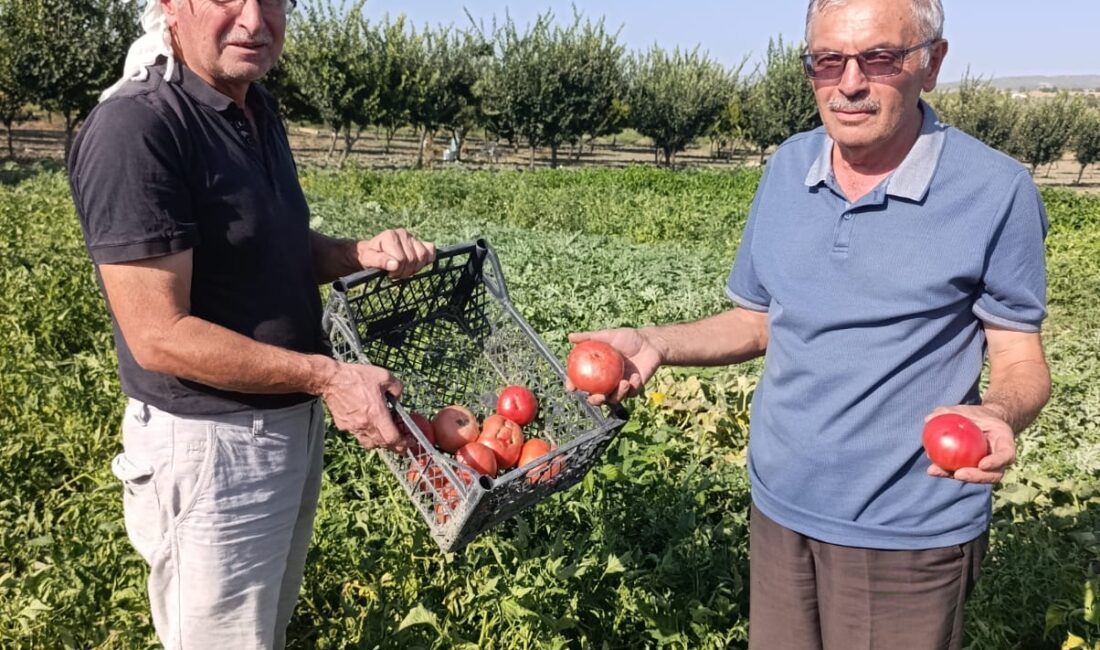 Manisa’nın Gördes ilçesinde İmam Hatip Lisesi’nden emekli öğretmen Ahmet Özdemir