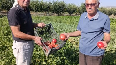 Manisa’nın Gördes ilçesinde İmam Hatip Lisesi’nden emekli öğretmen Ahmet Özdemir