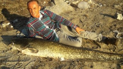 Köprübaşı’nda Öner Hatipoğlu tarafından Demirköprü Baraj Gölünde 62 kilogram ağırlığında