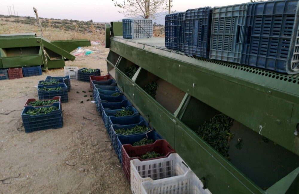 İlçemizde bu yıl tarım sezonu çiftçiler açısından oldukça zor geçti.